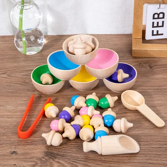 Wooden Acorn Sorting & Counting Toy